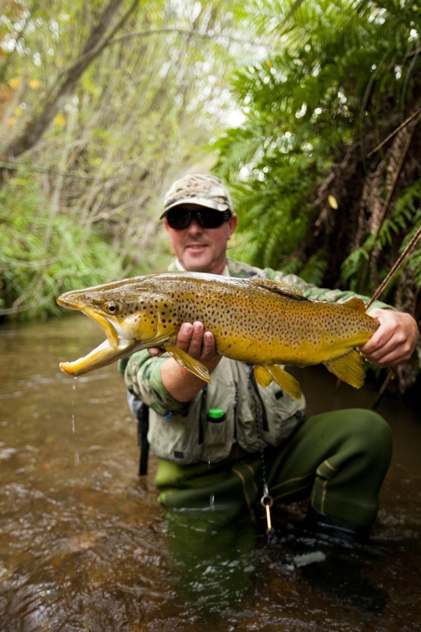 Review: Silver screen fly fishing
